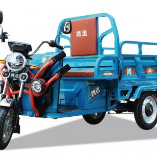 Electrical Tricycle