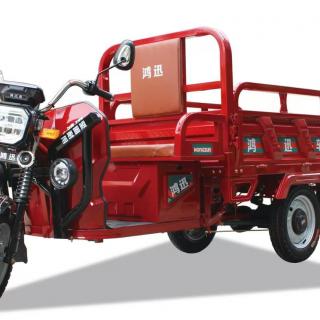 Electric cargo tricycle 