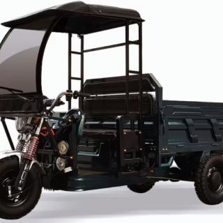 Electric Tricycle with Roof